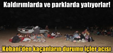 Kobani'den kaçanların durumu içler acısı