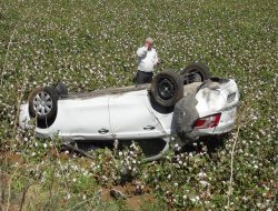 Lastiği patlayan otomobil pamuk tarlasına uçtu