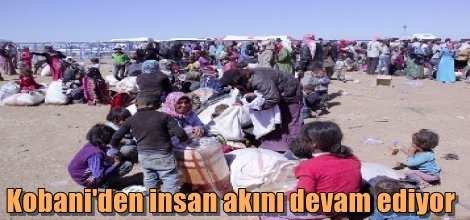 Kobani'den insan akını devam ediyor
