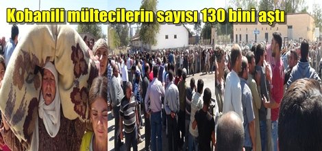 Kobanili mültecilerin sayısı 130 bini aştı