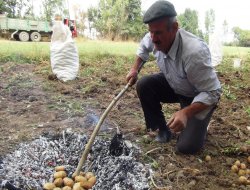 Sorunlarla boğuşan köylüler ürün hasadından memnun değil