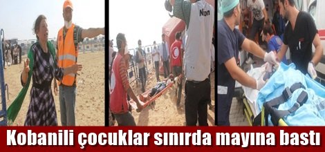 Kobanili çocuklar sınırda mayına bastı