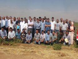 Çiftçilere pamuk entegre mücadelesi anlatıldı