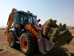 Sınırda bekletilen hayvanlara yem verildi