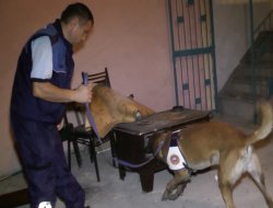 Bursa'da uyuşturucu operasyonu: 20 gözaltı