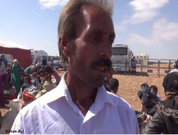 Kobani sınırındaki hayvanlar telef oluyor