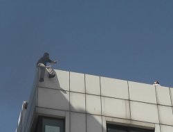 Şanlıurfa'da intihar girişimi