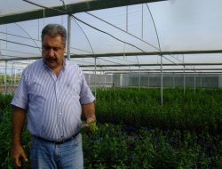 Japon erik üreticinin yüzünü güldürdü