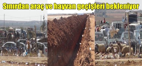 Sınırdan araç ve hayvan geçişleri bekleniyor