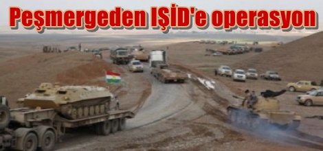 Peşmergeden IŞİD'e operasyon