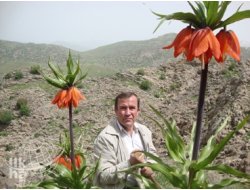 "Ters Laleler Korunma Altına Alınmalıdır"