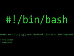 Apple Shellshock açığını kapattı