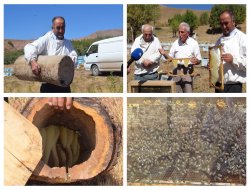 Bingöllü arıcılar: Sahte bala dikkat