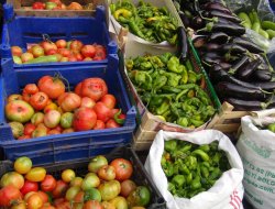 Tüketici fiyatları yüzde 0,14 arttı