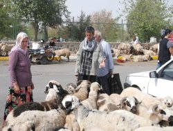 Kurban satıcıları satışlardan memnun değil