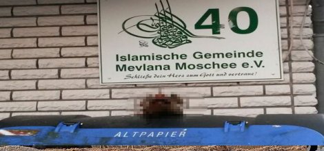 Almanya'da camiye 'domuz kafalı' saldırı