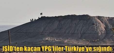 IŞİD'ten kaçan YPG'liler Türkiye'ye sığındı
