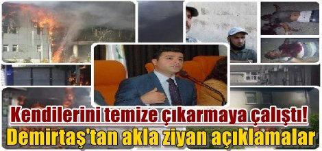 Demirtaş'tan akla ziyan açıklamalar