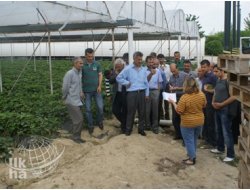 Batmanlı Üreticilere Çilek Eğitim Gezisi