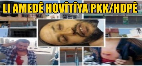 LI AMEDÊ HOVÎTÎYA PKK/HDPÊ