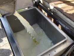 Üretilen içme sütü miktarı yüzde 10,5 azaldı