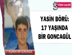 Yasin Börü: 17 Yaşında Bir Goncagül