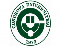 PKK'liler Çukurova İlahiyat Fakültesine saldırdı