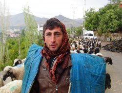 Yaylardaki göçebe koçerlerin çileli dönüşü başladı