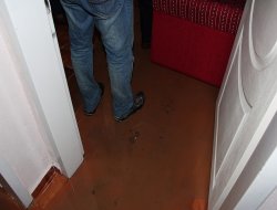 Etkili yağmur evleri sular altında bıraktı