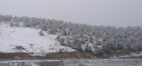 Karadeniz'de mevsimin ilk karı