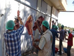 Kobani saldırıları yetim ve muhtaç aileleri de mağdur etti