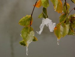 Doğuda sıcaklıklar eksinin altına düştü