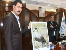 "Sürmeli Kız Kuşu" Ceylanpınar'ın simgesi olacak