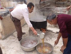 Bağ Bozumu ve Harire