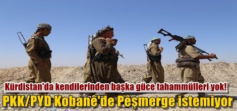 PKK/PYD Kobanê'de Pêşmerge istemiyor