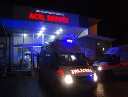 Bingöl'de kaza: 2 çocuk öldü