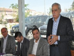 Ahmet Türk vahşeti demokratik buldu!