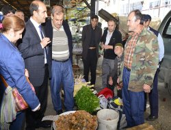 Doğadan rastgele toplanan mantarları tüketmeyin