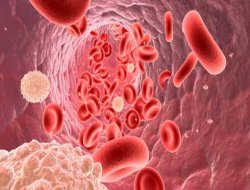 Kanseri "doğru beslenerek" önleyebilirsiz