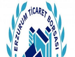 Erzurum'a Diyarbakır örneği