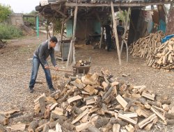 Odun Satıcıları umduğunu bulamıyor