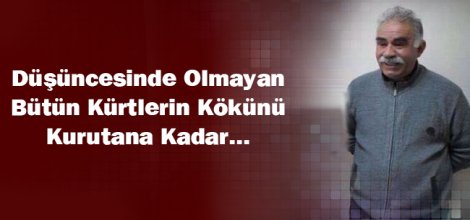 Rojava Ütopya Adası mı?