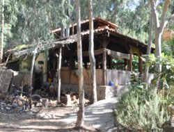 Ekolojik köy kapsamında Kocaeli ve Muğla'ya teknik gezi