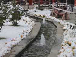 Van'a yılın ilk karı düştü