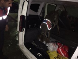 Üzerinde esrar çıkan 2 kişi gözaltına alındı