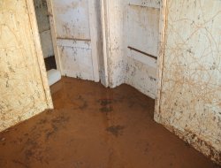 Sel mağduru, 'Bingöl Belediyesi bizimle ilgilenmiyor'