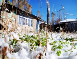 Ağrı beyaza büründü