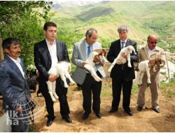 Yüzüncü Yıl Üniversitesi'nden Türkiye'de Bir İlk