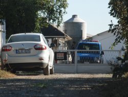 Tavuk çiftliğinde çıkan yangında binlerce tavuk telef oldu