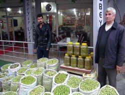 Yeşil zeytin satarak 2 aileye bakıyor